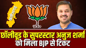 Chhattisgarh Election 2023: छत्तीसगढ़ी फिल्मों के मशहूर एक्टर अनुज शर्मा लड़ेंगे चुनाव, BJP ने यहां से बनाया उम्मीदवार.